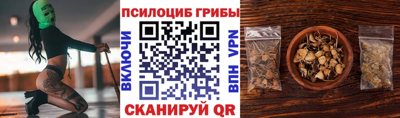 Галлюциногенные грибы GOLDEN TEACHER  Купить  Сенгилей 