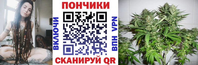 Бошки Шишки Bruce Banner  Купить закладки  Сенгилей 
